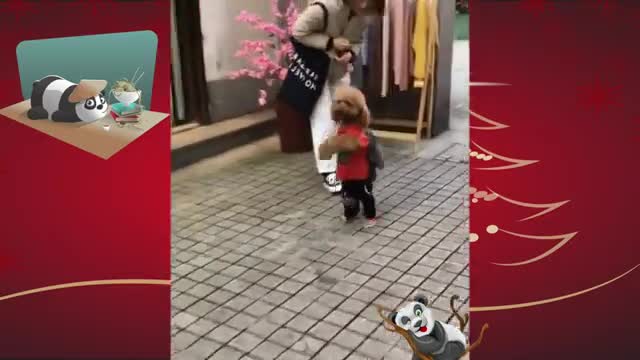 Funny animal part 4