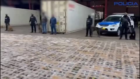⚡️More than three tons of cocaine were found in bananas from Ecuador that were heading to Russia.