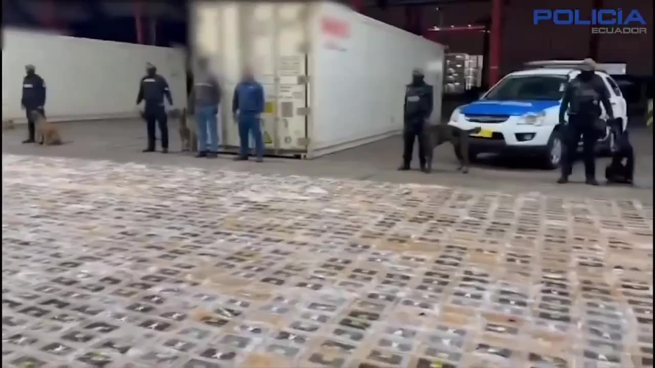⚡️More than three tons of cocaine were found in bananas from Ecuador that were heading to Russia.
