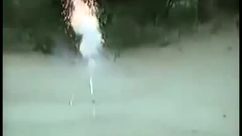 DOG PLAYS WITH FIRE