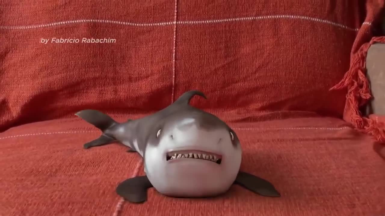 The latest interesting little shark interesting shark cute little animal magical reaction