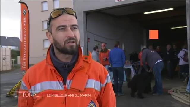 Le Terre-neuve, le meilleur ami du marin