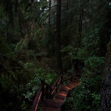 funny|prank|jokes|funny jokes|dad jokes|funny memes|funny video|fun|laughing|funny animal|knock