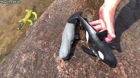 Sea Animal Toys This Summer at the Shore