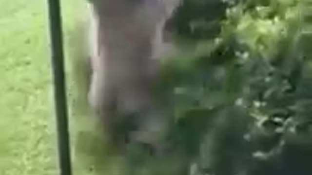 Funny Tiktok pt8