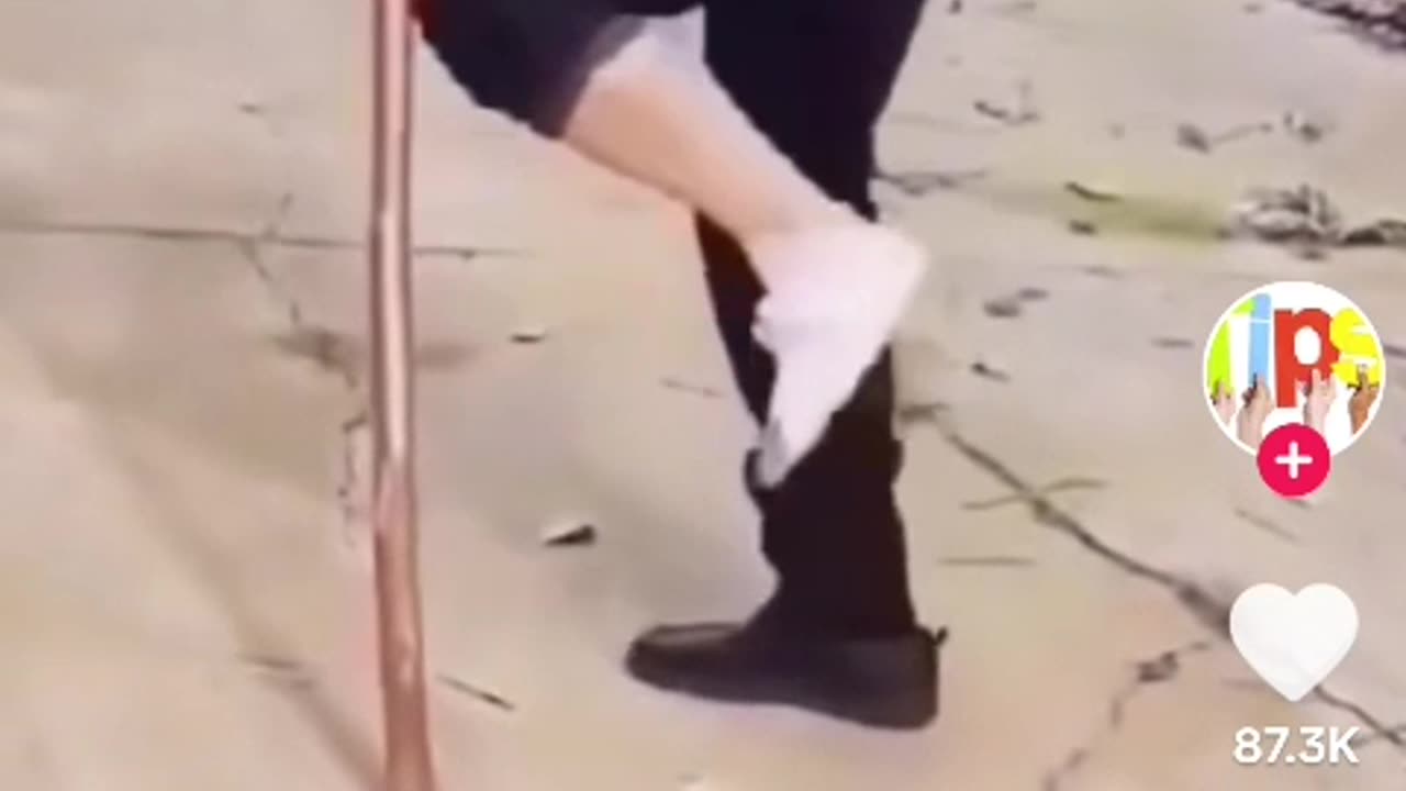 Smart rooster