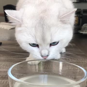 Anyone else jump squeal for fish water