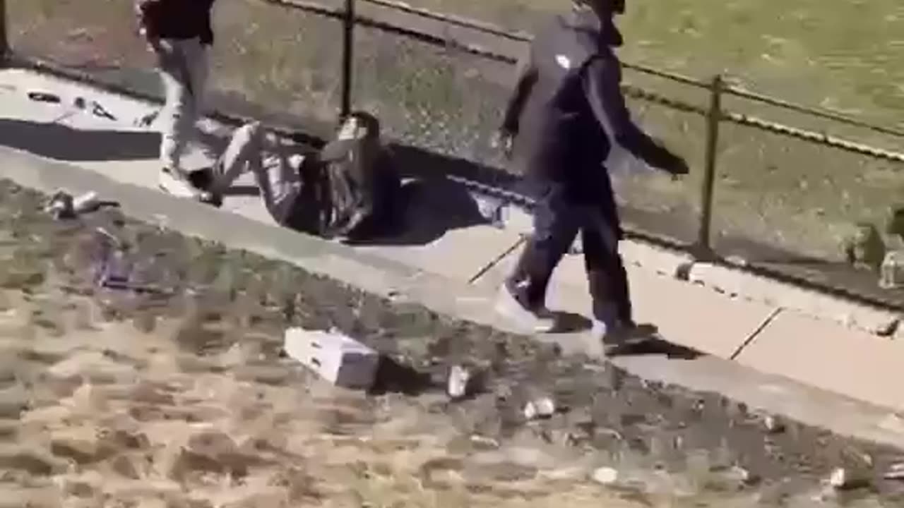 3 Black Kids Beat Up White Kid at St Patrick’s Day Parade in Boston