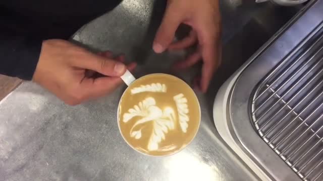 How to Make a LATTE ART | 7 Ideas |Tulip, Heart, Swan, Spike and More…