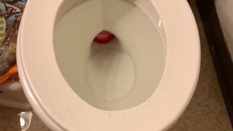 Christmas ornament toilet fail