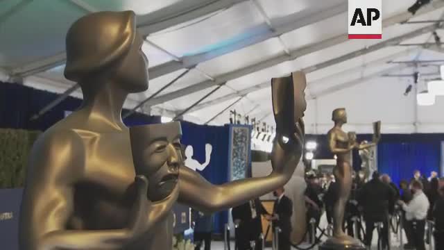 Scene from the SAG Awards red carpet