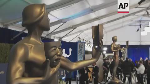 Scene from the SAG Awards red carpet