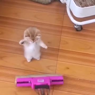 You wanna dance with me ??