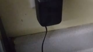 Upgraded reaction chamber