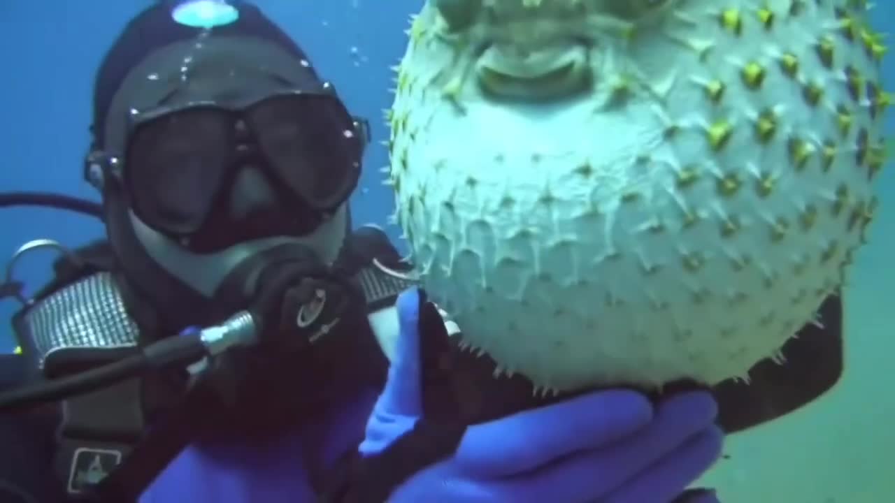 When you are forced to take photos with people you hate # underwater world