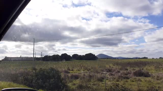 Driving a car through nature passenger seat view