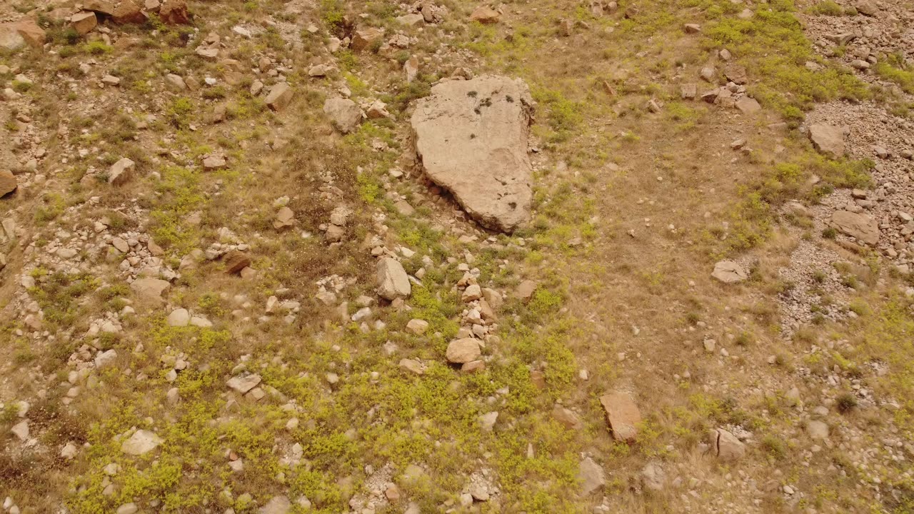 Amazing Antelopes Scale The Rocks