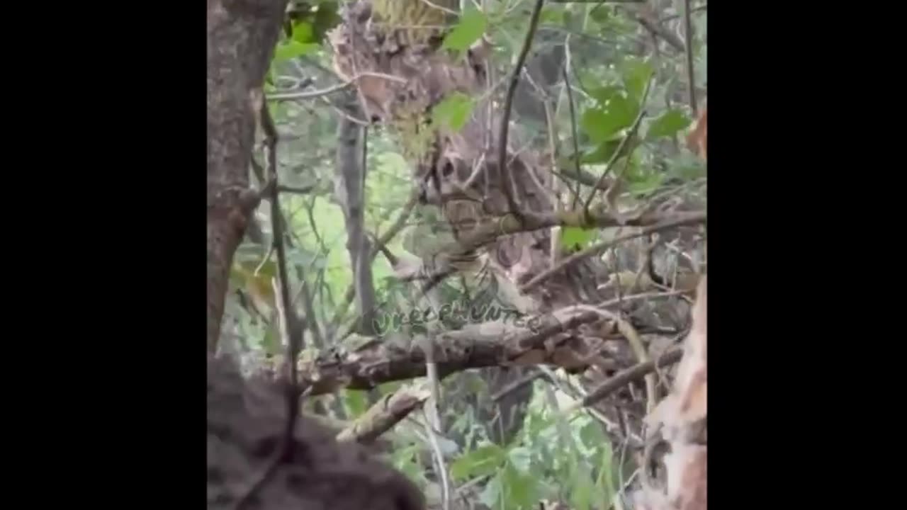 π·πΊπΊπ¦ Destroyed Ukrainian militants in Kursk region.