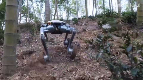 All-Terrain Wheeled Robot Dog