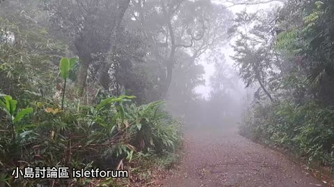 #薄扶林水塘道，極度大霧中 PokFuLam Reservoir Road in extremely heavy fog