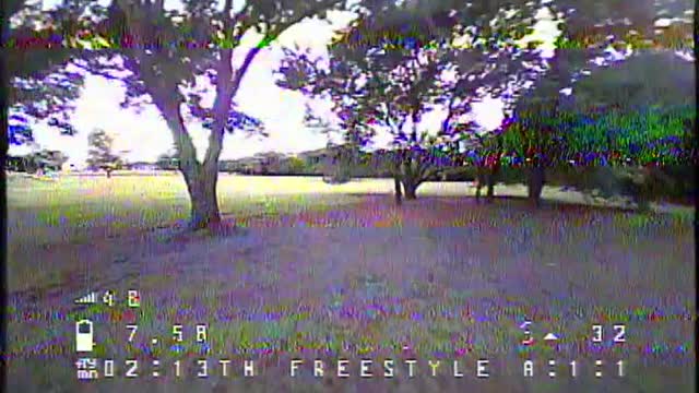 TinyHawk Freestyle FPV