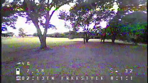 TinyHawk Freestyle FPV