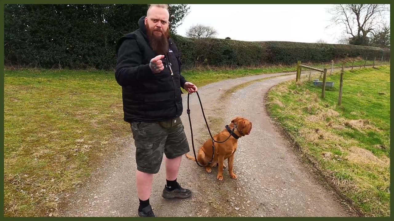 How To Stop Your Dog PULLING On The Leash - EXTREME CASE