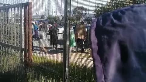 Eyewitness to Heinz Park Primary shooting