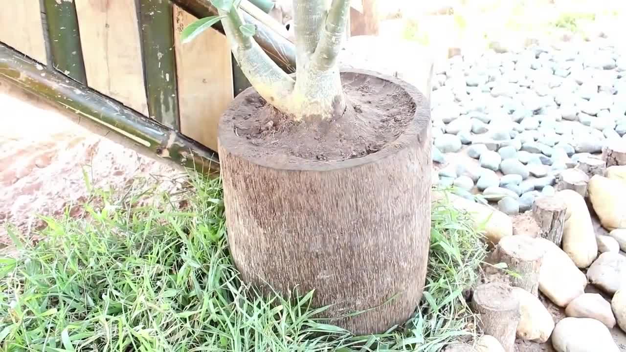 Build Beautiful Swimming Pool And Two House Using Wooden Brick And bamboo