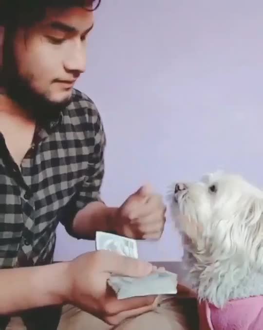 of-a-man-and-his-dog