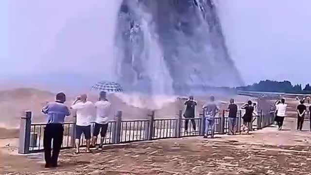 A very big whale at the sea