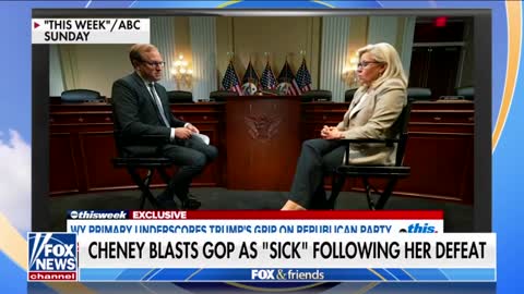 Newt Slams Liz Cheney For Attack On Republicans After Primary Loss!!