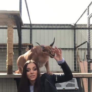 So adorable Isn’t she? two beautiful creature