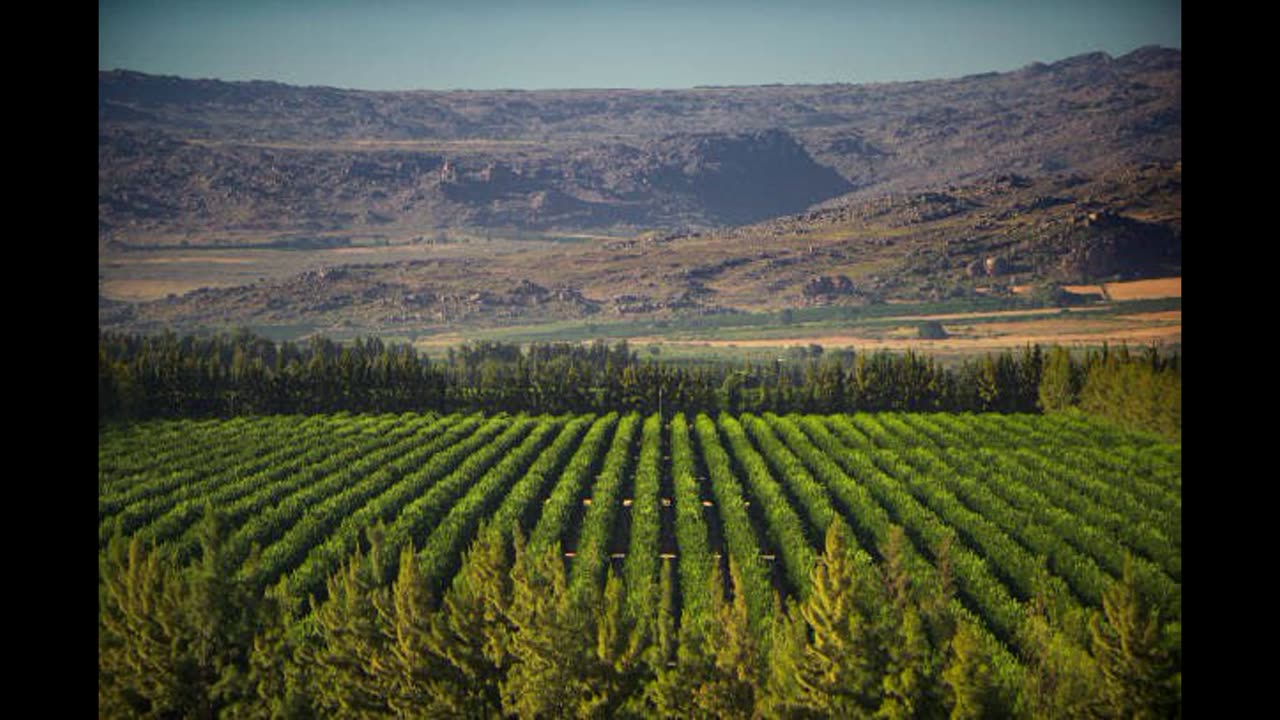 White-owned farms in Africa not allowed to export, says government