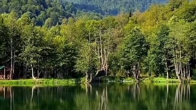 Beautiful Nature