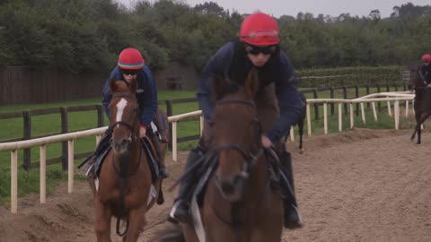 The Racing Academy &Centre of education (Race)