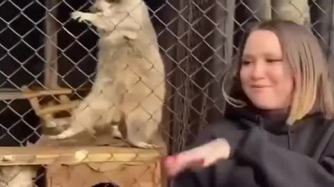 Cat Dance with her owner🙂