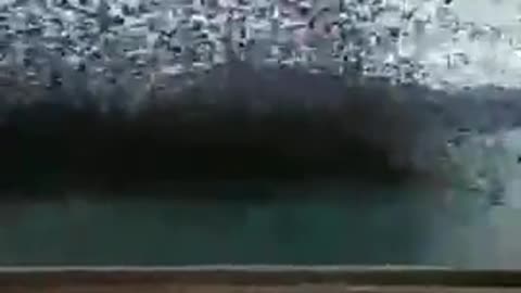 Bird Tsunami in Greece
