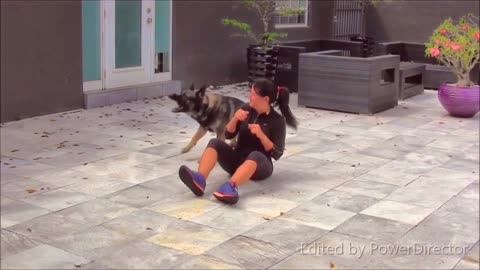 Dog Training Video Part 1