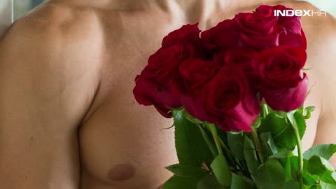 Gospodin Savršeni traži ženu s kojiom će imati sretnu obitelj