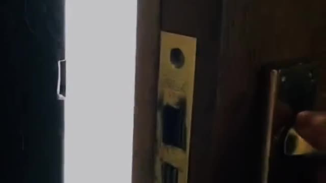 Viewing suggestion: Show it to someone you like