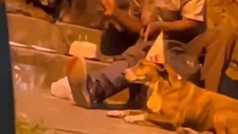 Homeless guy celebrating a little birthday party with his best friends