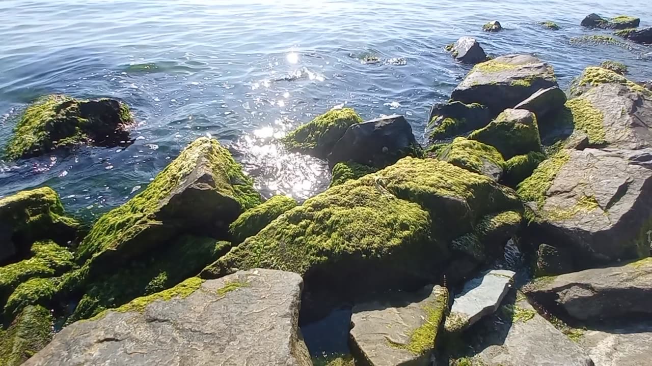 Beautiful view of the rocky beach