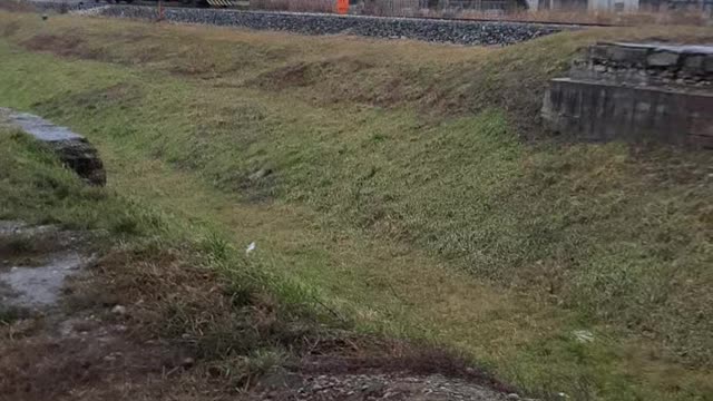 OLD RUSTY TRAIN