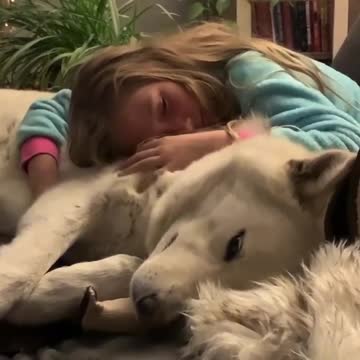Bedtime snuggles between little girl and her gentle wolfdog