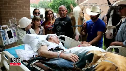 #Horse visites Dying Vietnam Veteran Owner For Heartfelt Goodbye