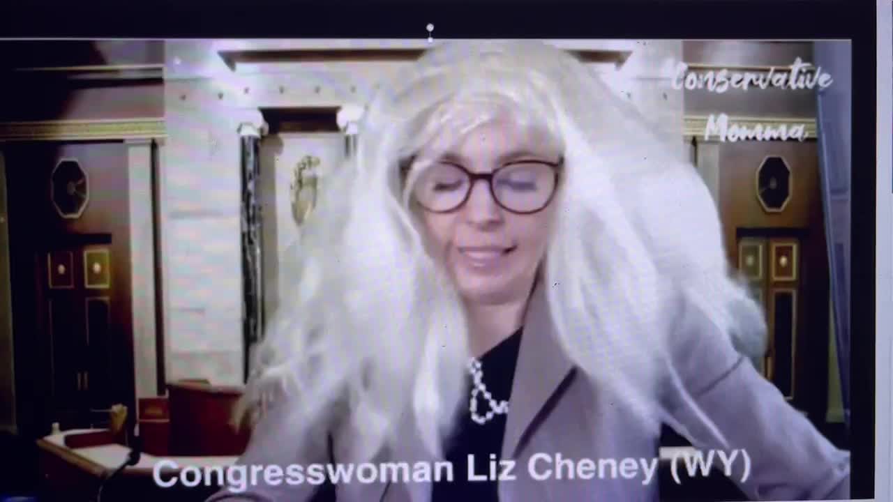 Liz Cheney missed some critical texts on Jan 6