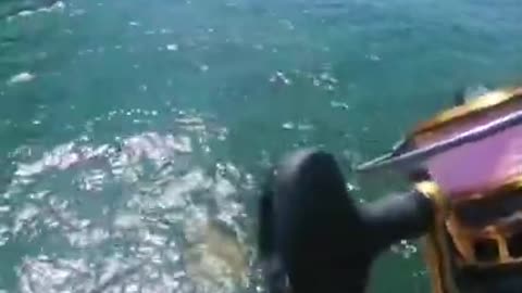 Awesome trap fishing big fish # short #Trap fishing@