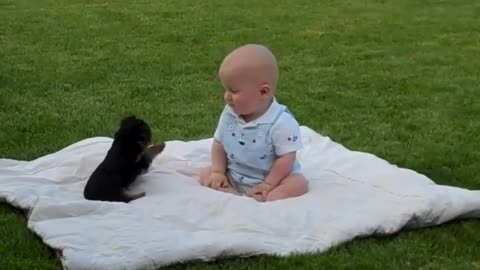 Cute puppy playing with a baby