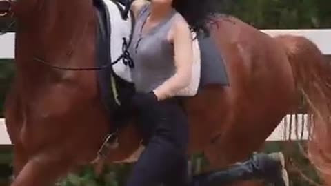 Horse stunt